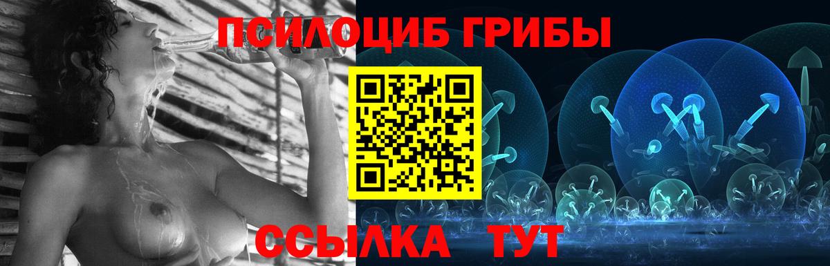Псилоцибиновые грибы GOLDEN TEACHER  Вход с VPN  Ковров 