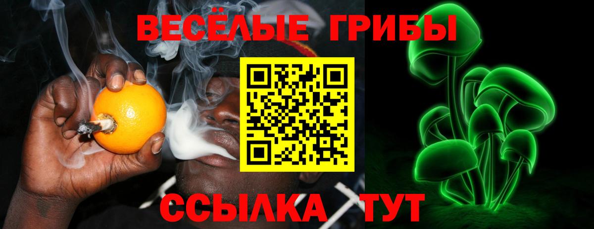 Псилоцибиновые грибы Cubensis Ковров